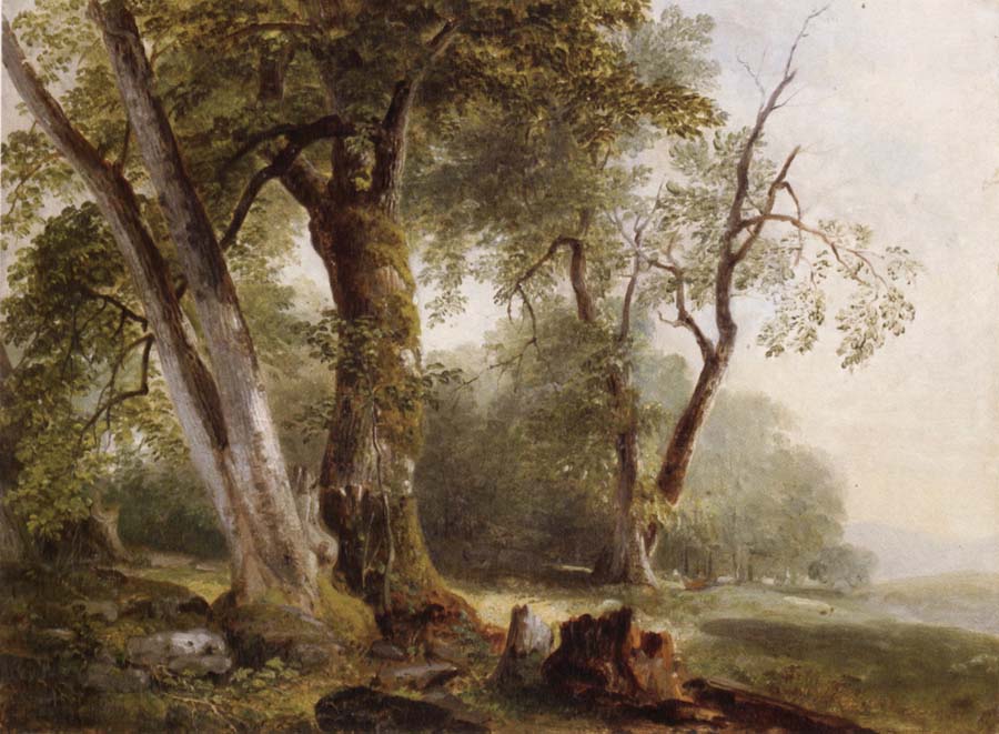 Landscape with Beech Tree